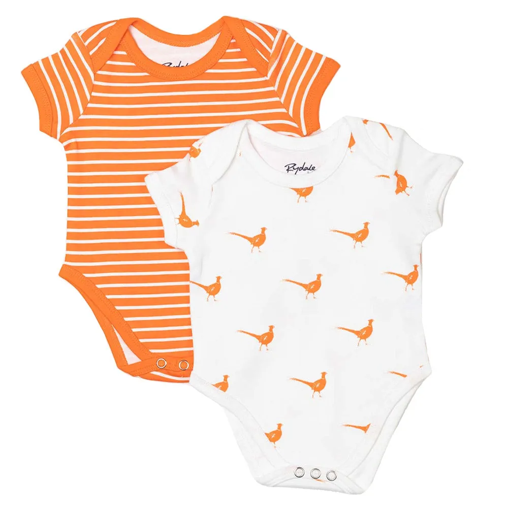 Baby Bodysuits (2 Pack)