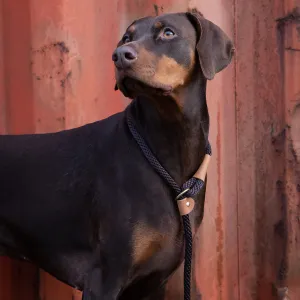 Dog Leads - Mud